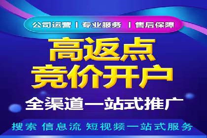 百度竞价排名机制：成功案例与策略探讨